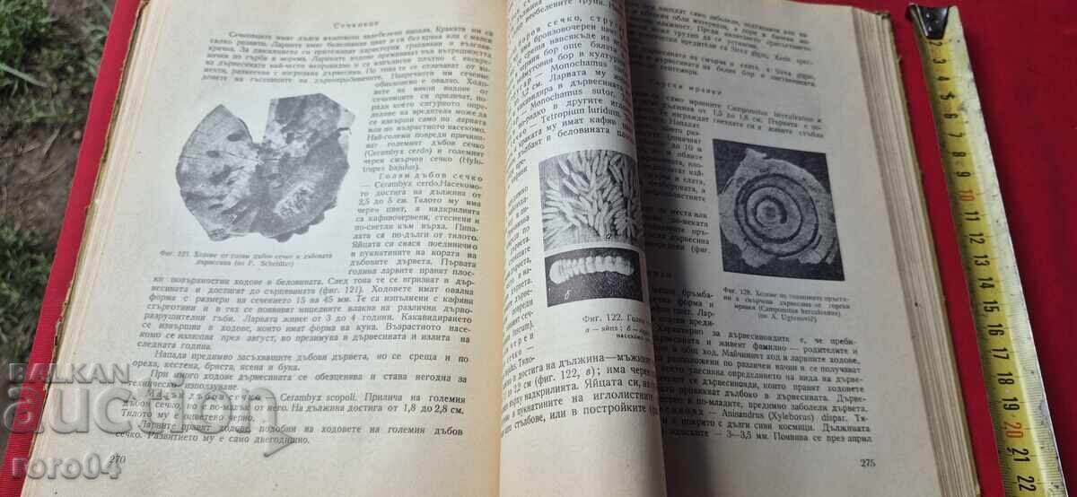 WOOD SCIENCE - VASIL STOYANOV / ENCHO ENCHEV - 5