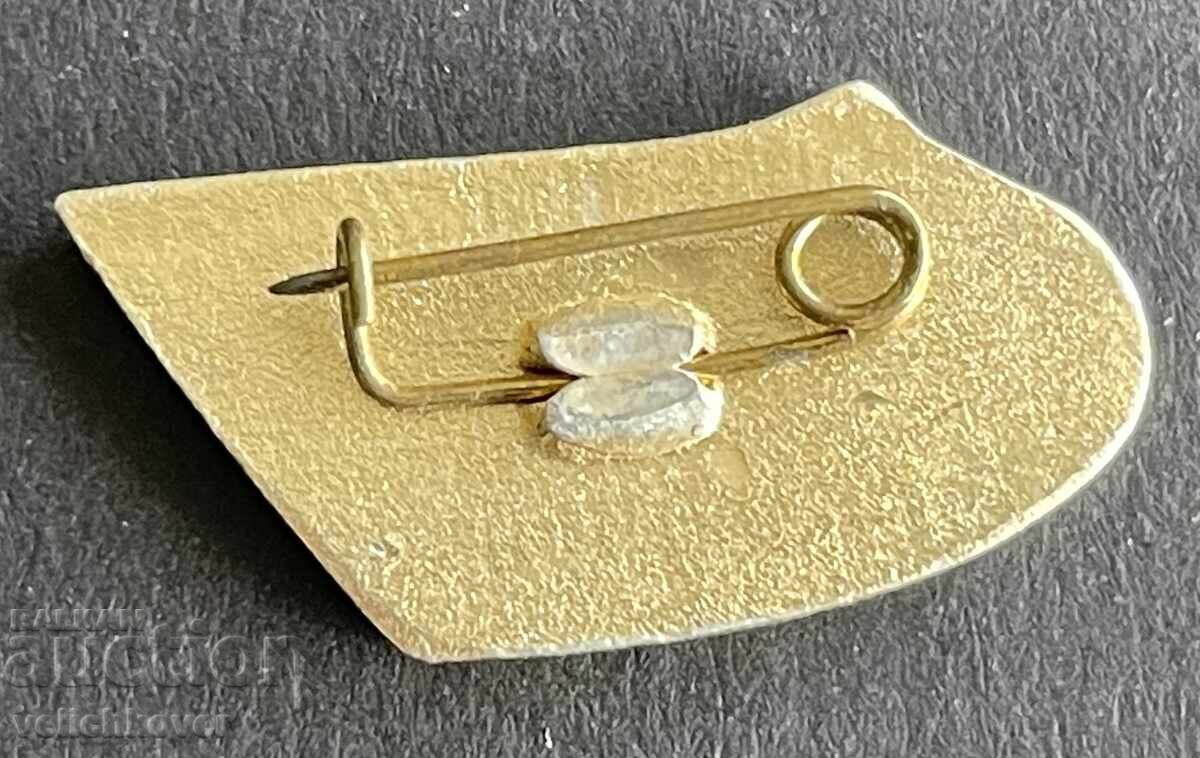 41159 Βουλγαρία τουριστικό σήμα ΒΤΣ Σύλλογος Ντετέλιν Βόιβο με τιμή 4.00 BGN | € 2.05