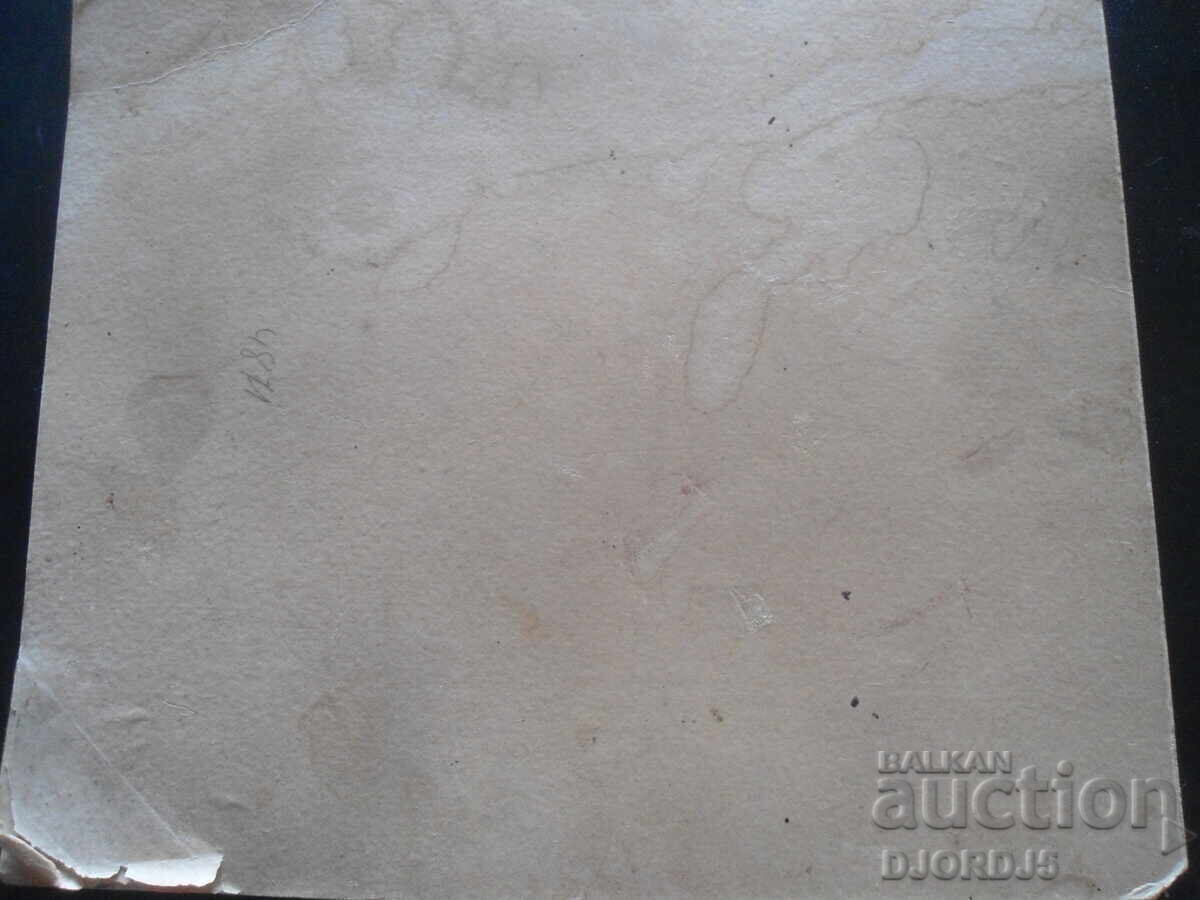 Δημοπρασία Παλιά φωτογραφία, χαρτόνι, Φωτογραφία του Π.Τ. Βράσναρεφ, Βίντιν Δημοπρασία Παλιά φωτογραφία, χαρτόνι, Φωτογραφία του Π.Τ. Βράσναρεφ, Βίντιν