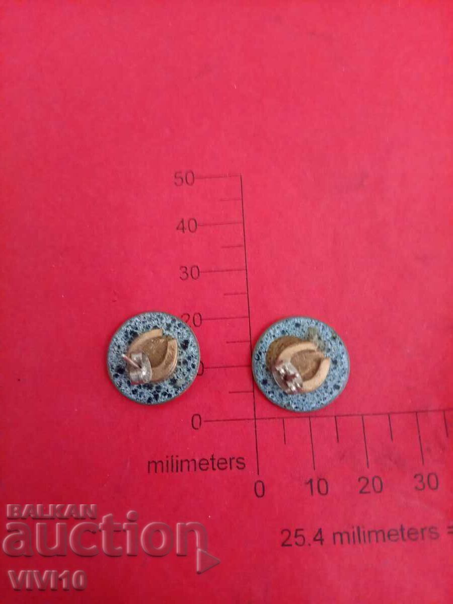 Αντίκες σκουλαρίκια με σμάλτο με τιμή 30.00 BGN | € 15.34