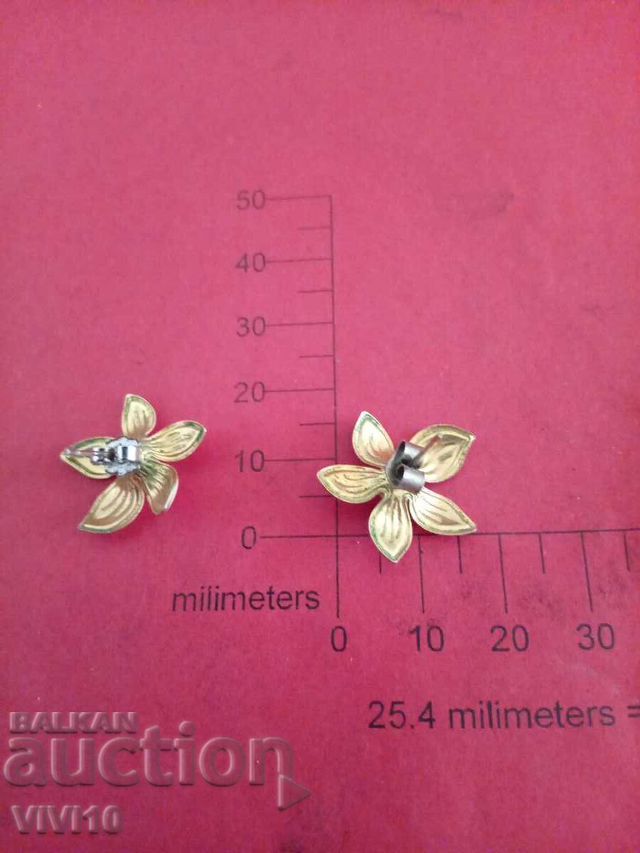 Старинни обеци с емаил с цена 20.00 лв. | € 10.23 Старинни обеци с емаил с цена 20.00 лв. | € 10.23