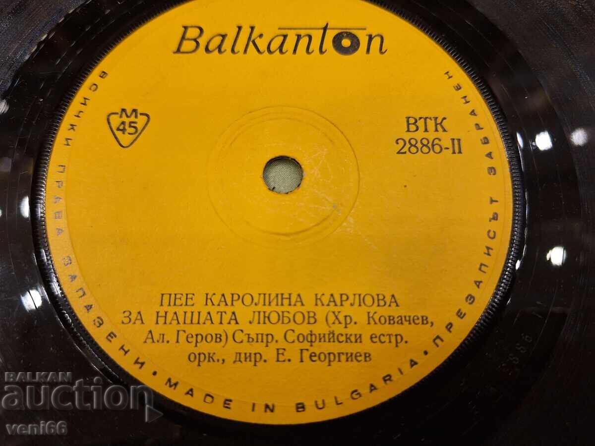 Auction  VTK 2886 - Carolina Karlova