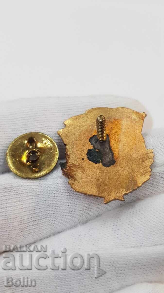 Δημοπρασία Πρώιμο κομμουνιστικό σήμα, κονκάρδα Διμιτρόβγκραντ 1951