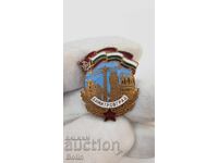 Semn comunist timpuriu, insignă Dimitrovgrad 1951