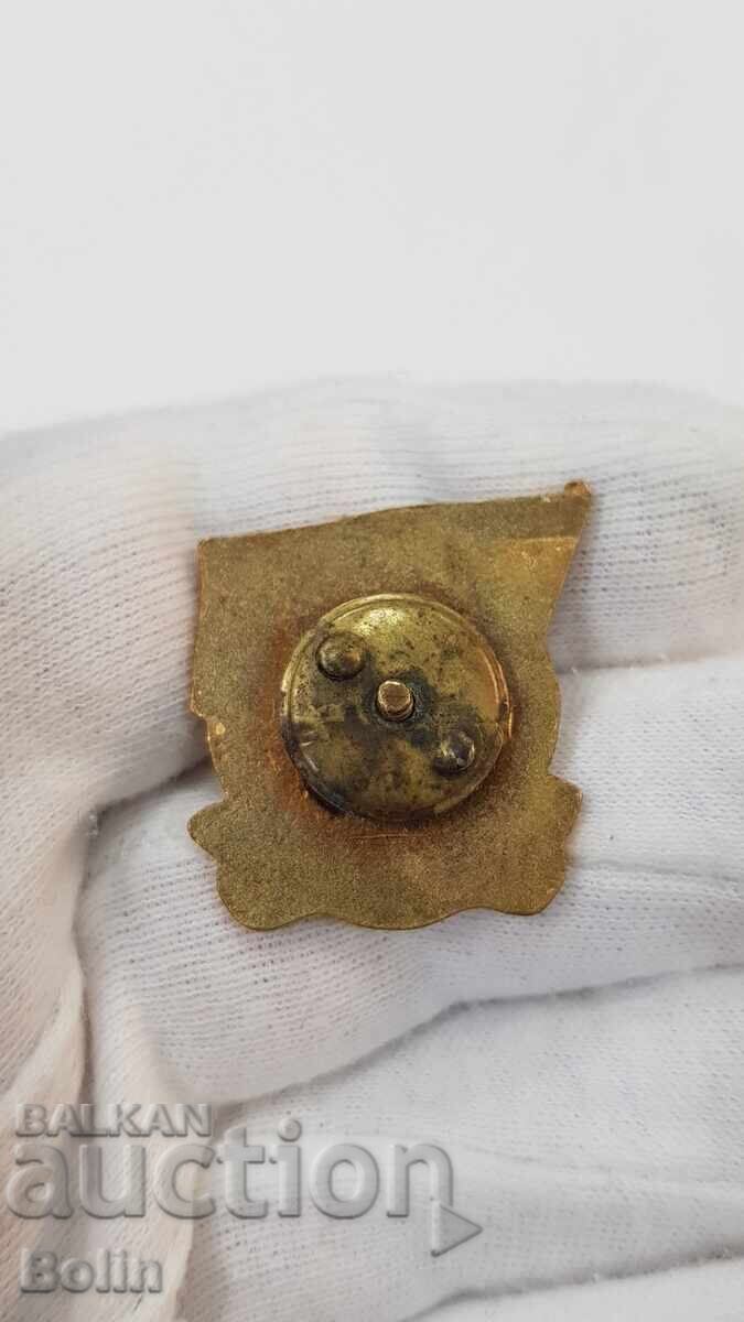 Παράδοση Σπάνιο σήμα, κονκάρδα DOSO - για Ενεργό δράση 1950