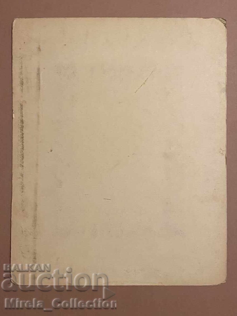 Livrarea Fotografie ofițer militar cu uniformă, Bătălia de la Doiran, 1917 Livrarea Fotografie ofițer militar cu uniformă, Bătălia de la Doiran, 1917