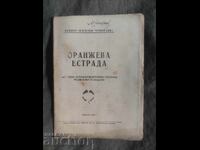 Scena portocalie .BZNS