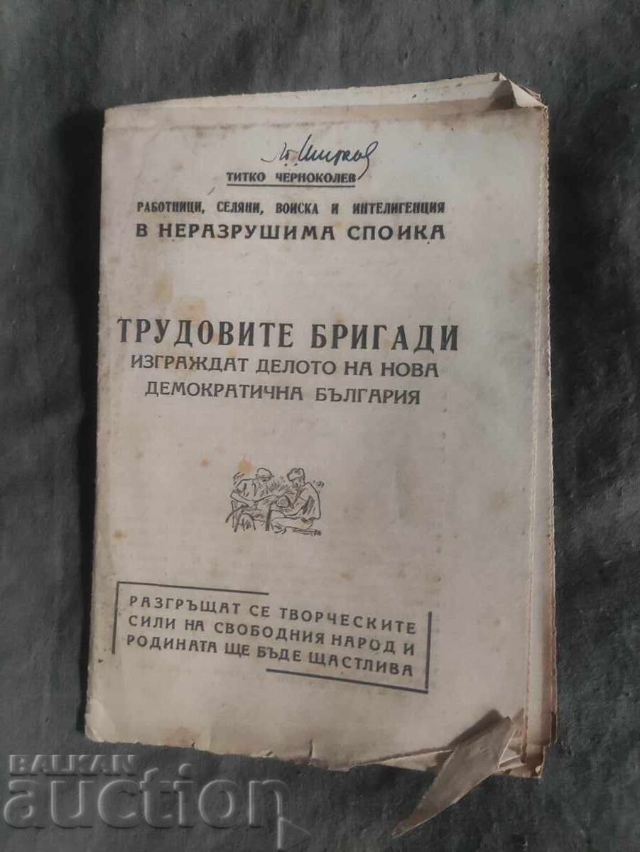Εργατικές ομάδες. Τίτκο Τσερνοκόλεφ Εργατικές ομάδες. Τίτκο Τσερνοκόλεφ
