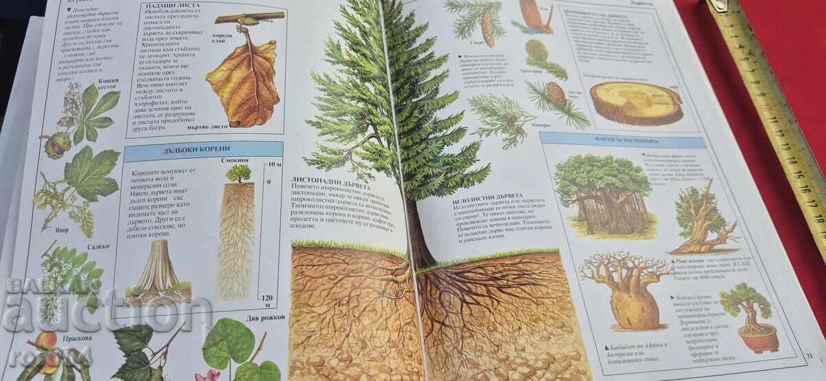 ZHIVIYAT SVYAT - ΕΙΚΟΝΟΓΡΑΦΗΜΕΝΗ ΕΓΚΥΚΛΟΠΑΙΔΕΙΑ - ΜΠΡΑΪΑΝ ΓΟΥΙΛΙΑΜΣ - 6