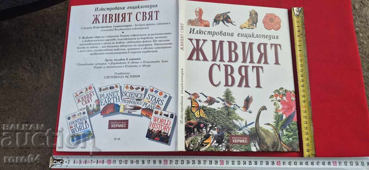 ZHIVIYAT SVYAT - ΕΙΚΟΝΟΓΡΑΦΗΜΕΝΗ ΕΓΚΥΚΛΟΠΑΙΔΕΙΑ - ΜΠΡΑΪΑΝ ΓΟΥΙΛΙΑΜΣ