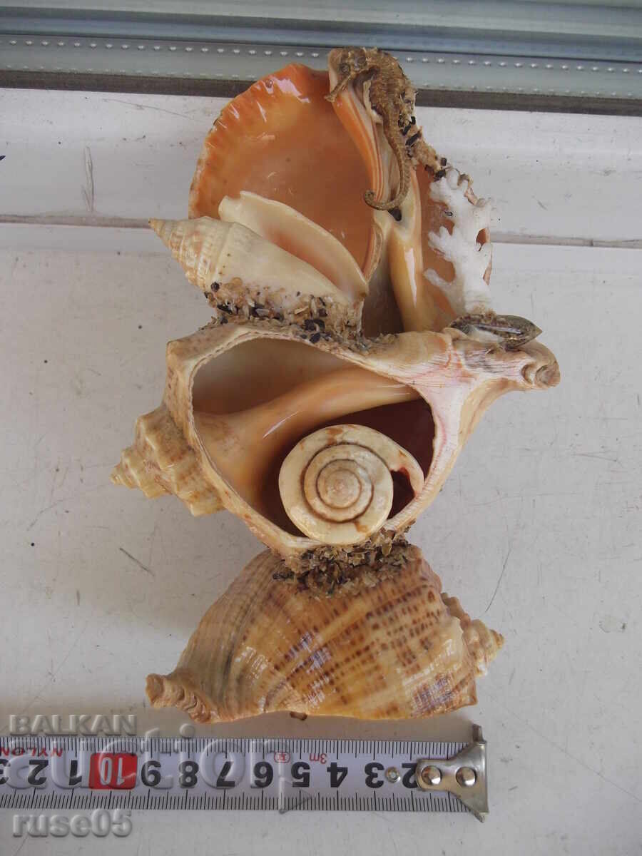 Figură din fructe de mare cu preț 25.00 BGN | € 12.78