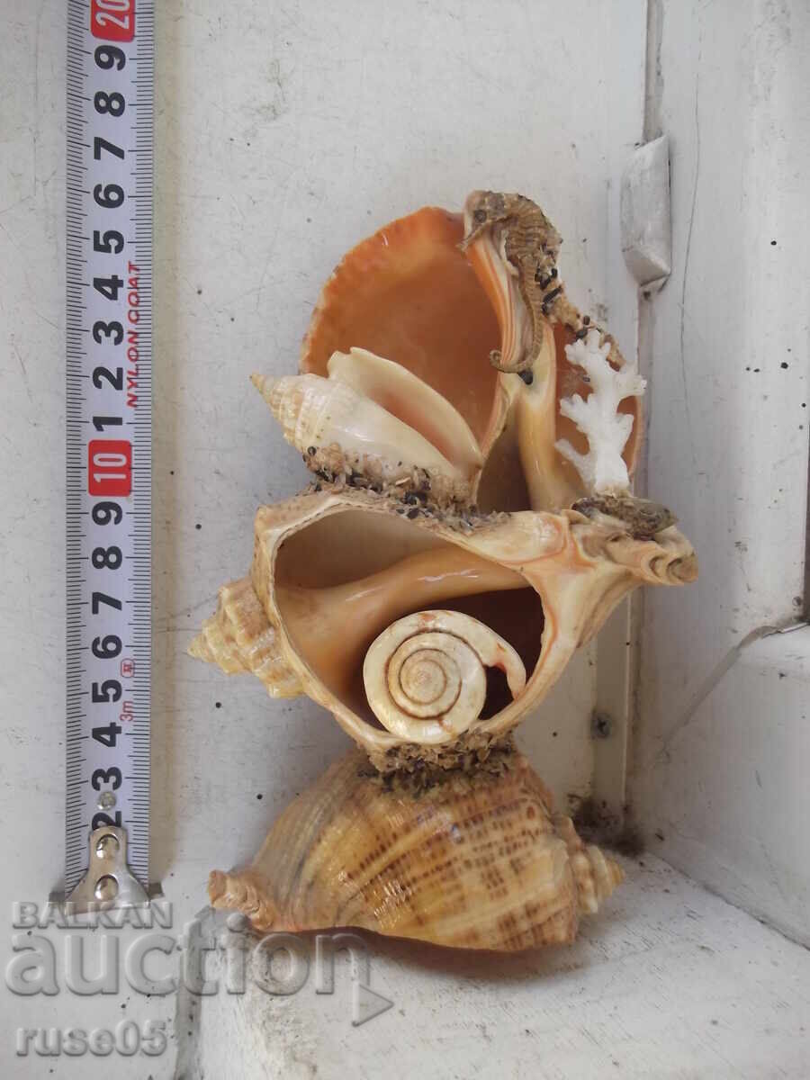 Licitație Figură din fructe de mare