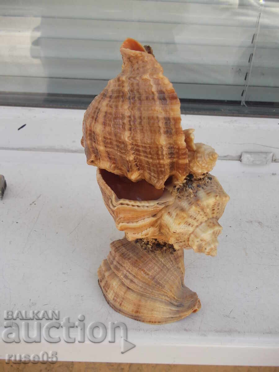 Livrarea Figură din fructe de mare