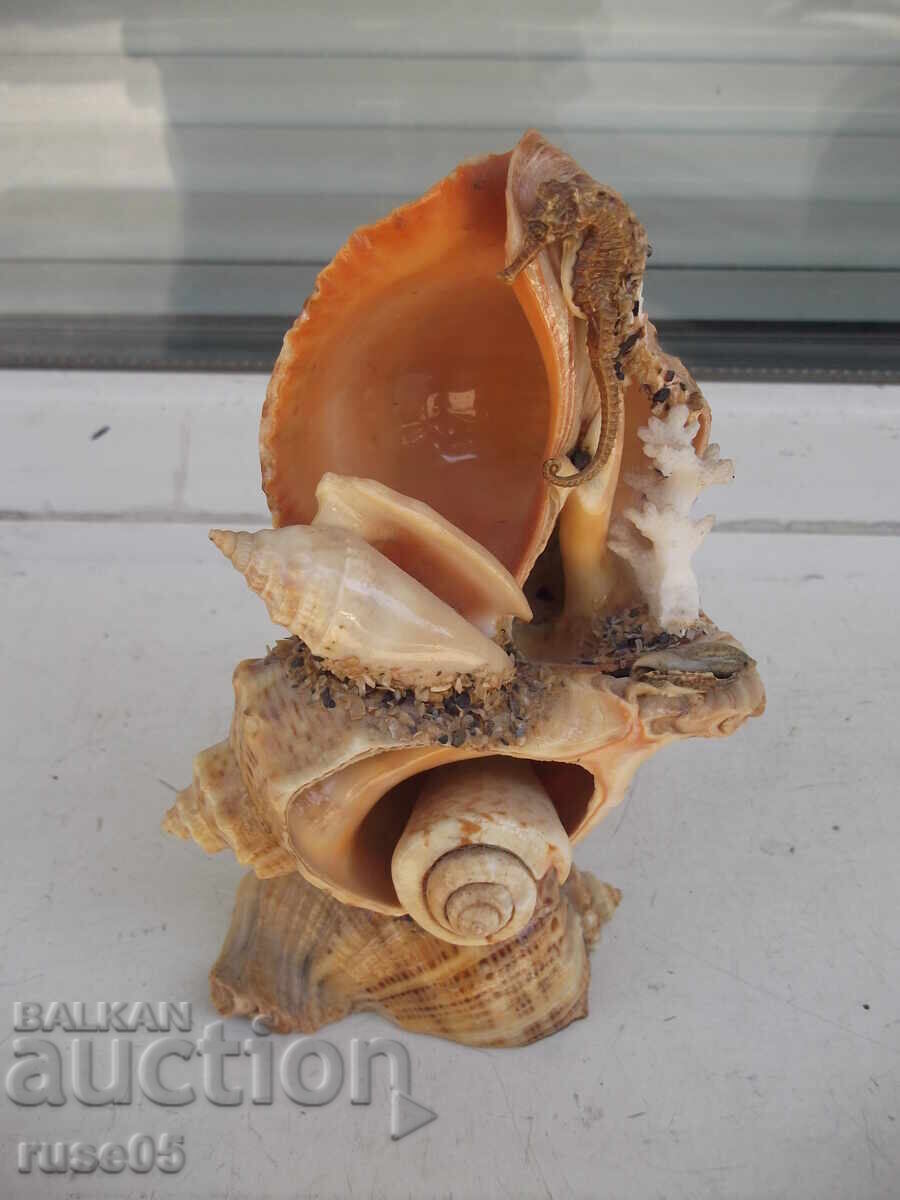 Figură din fructe de mare