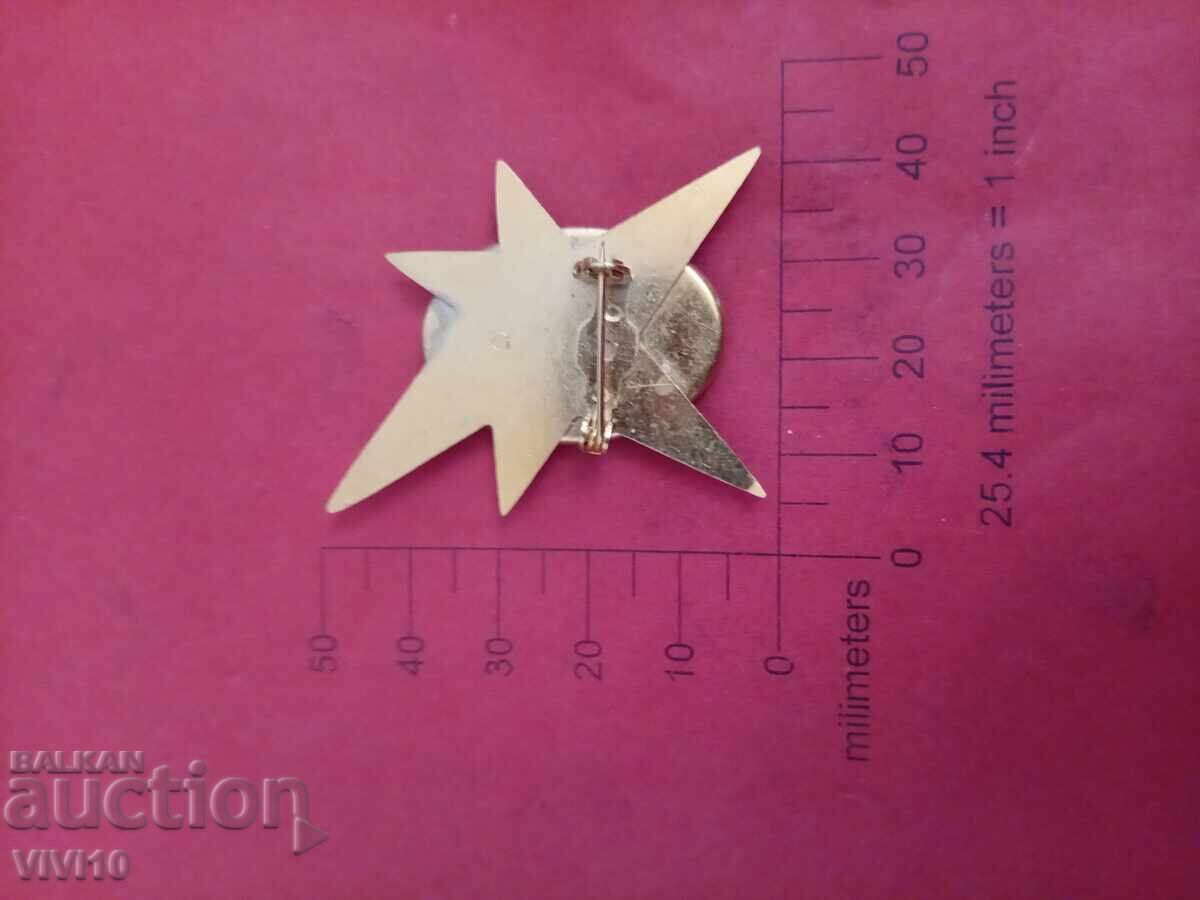 Αντίκα καρφίτσα σμάλτου με τιμή 20.00 BGN | € 10.23