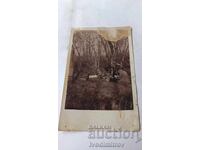 Fotografie Fermă Model, Regiunea Ruse, Tineri și tinere la picnic