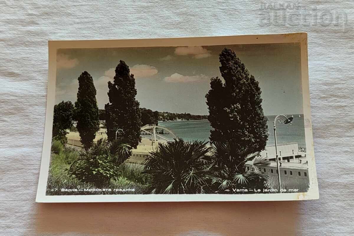 ΒΑΡΝΑ ΘΑΛΑΣΣΙΟΣ ΚΗΠΟΣ 1957 μ.Χ. ΕΓΧΡΩΜΟ