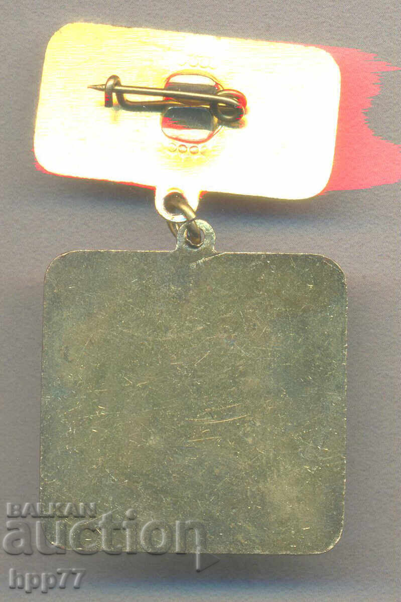 Rare Award Badge Exemplary Leader SBA with price 5.00 BGN | € 2.56