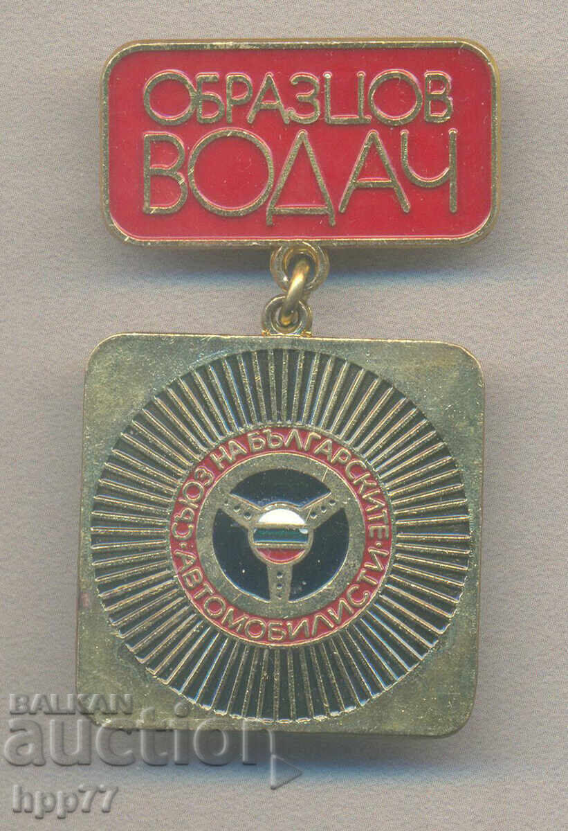 Rare Award Badge Exemplary Leader SBA