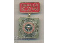 Rare Award Badge Exemplary Leader SBA