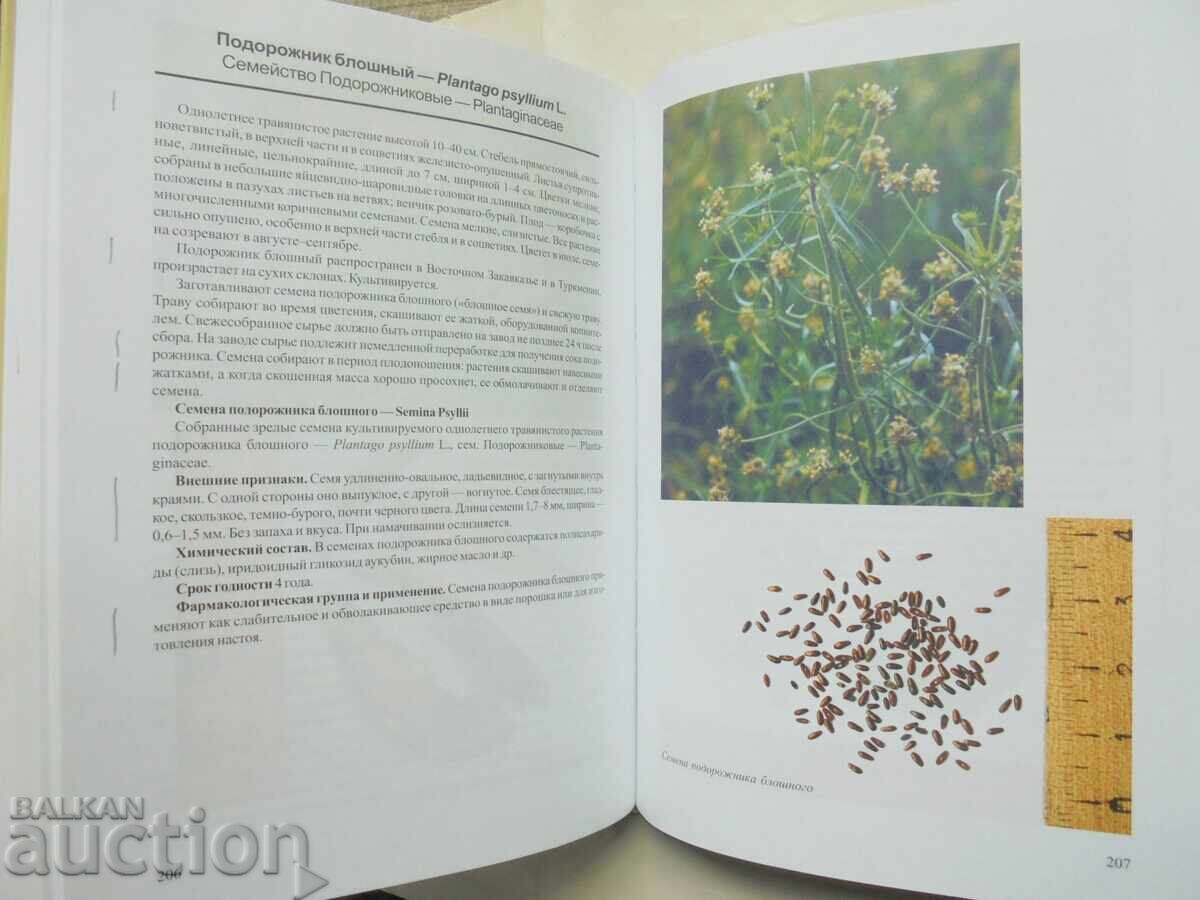 Auction  Atlas of Medicinal Plants and Raw Materials - I. A. Samylina 2008