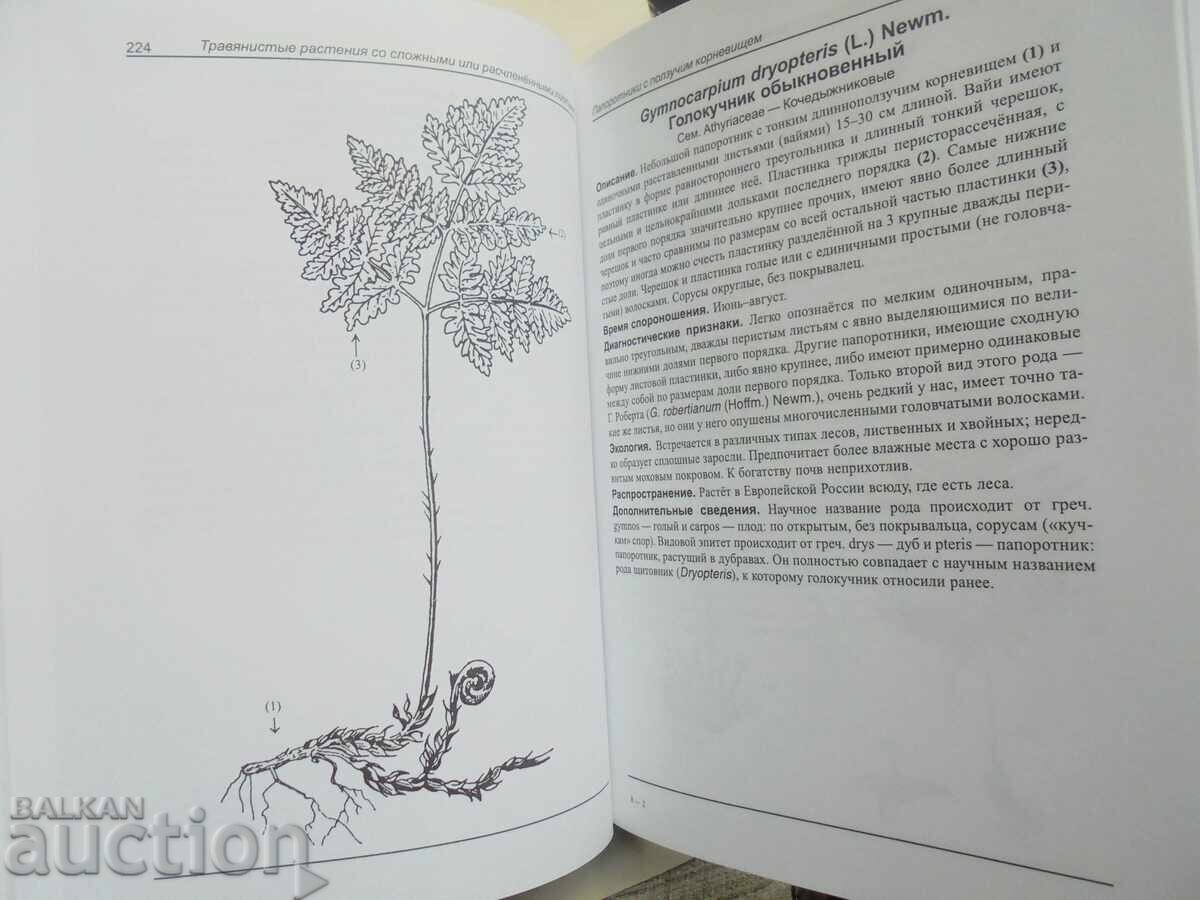 Δημοπρασία Εικονογραφημένος Οδηγός Βοτανικών Πρακτικών 2004