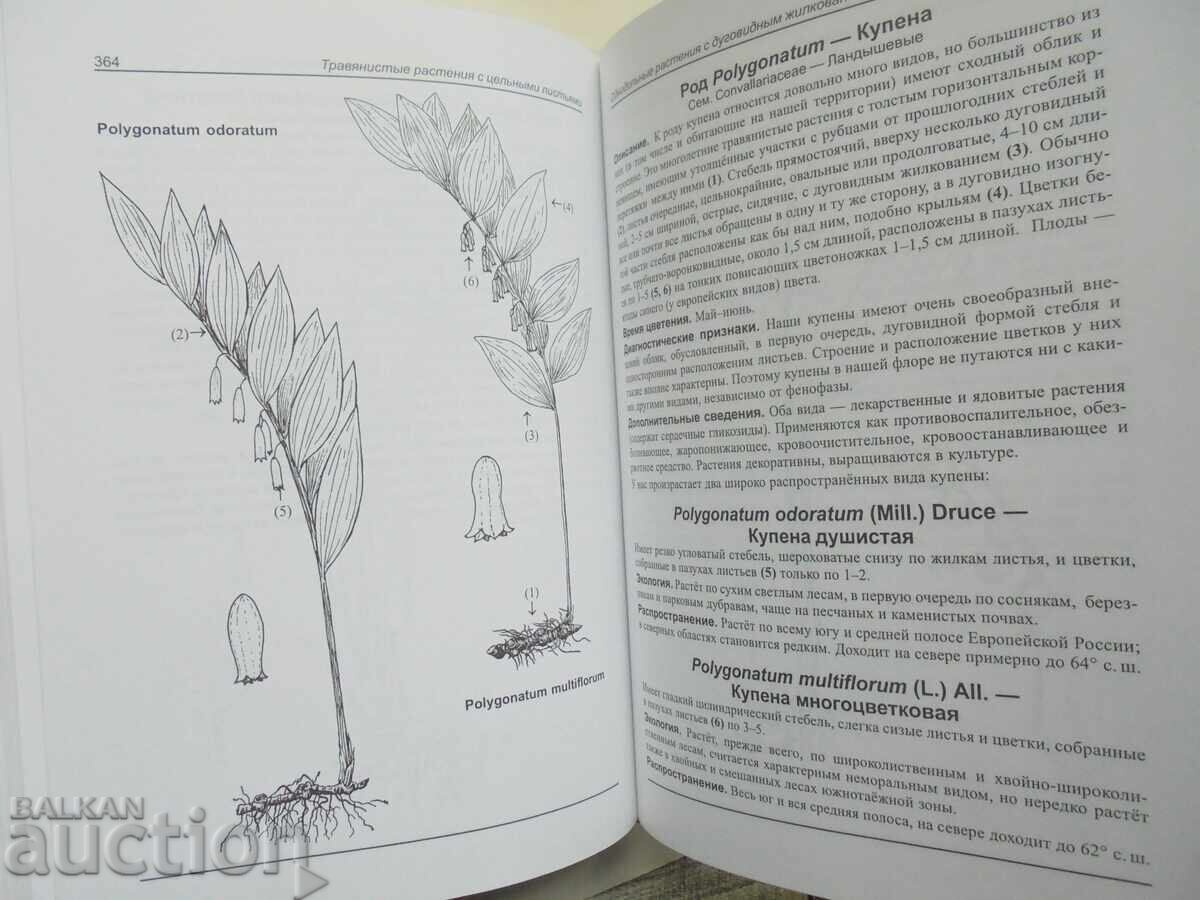 Παράδοση Εικονογραφημένος Οδηγός Βοτανικών Πρακτικών 2004