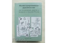 Εικονογραφημένος Οδηγός Βοτανικών Πρακτικών 2004