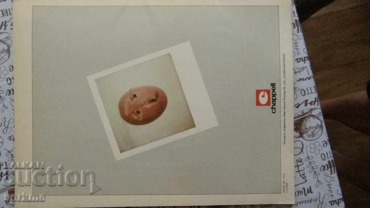 Πινκ Φλόιντ - 5 Πινκ Φλόιντ - 5