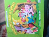 Συμβάν στο δάσος