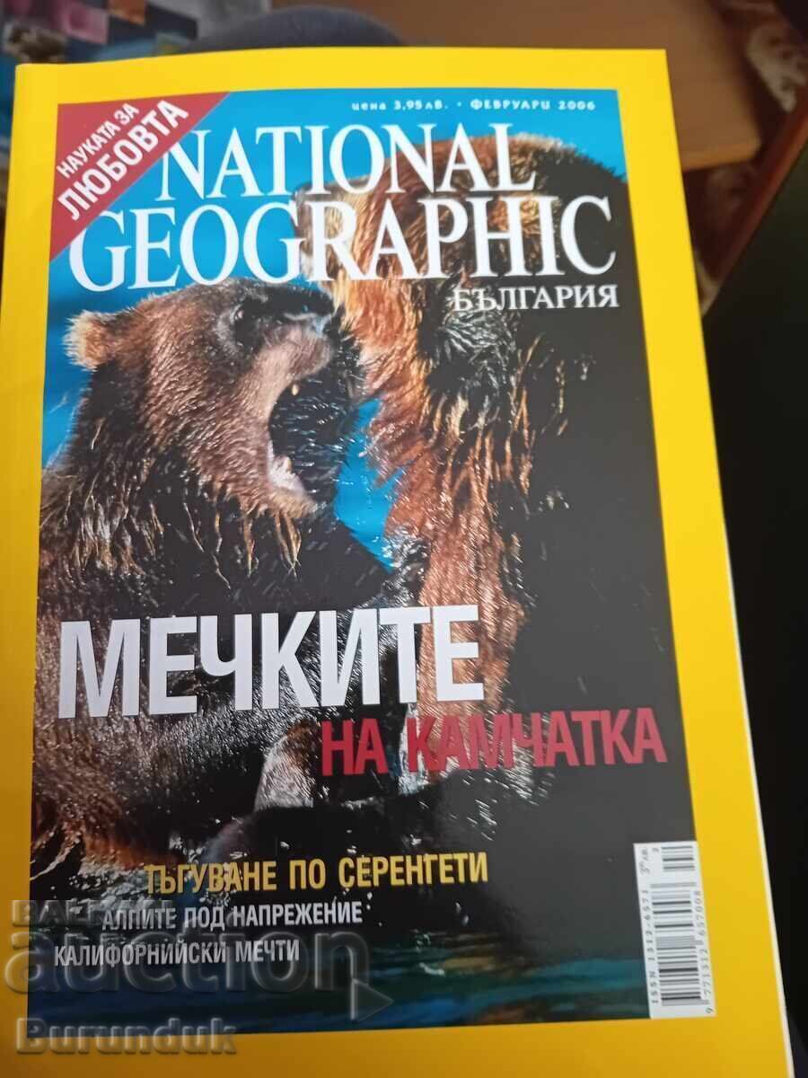 The Bears of Kamchatka