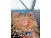 Υδρόβια ζώα