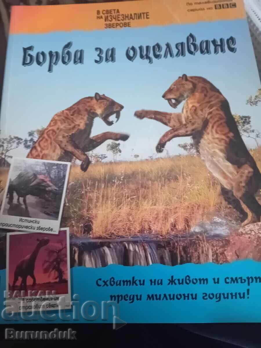 Προϊστορία