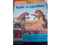 Праистория