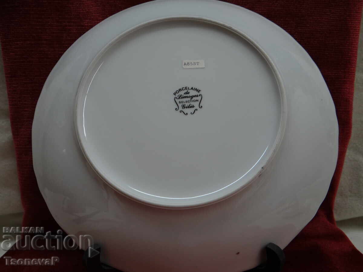 Porcelain French Plate Platter - 5 Porcelain French Plate Platter - 5