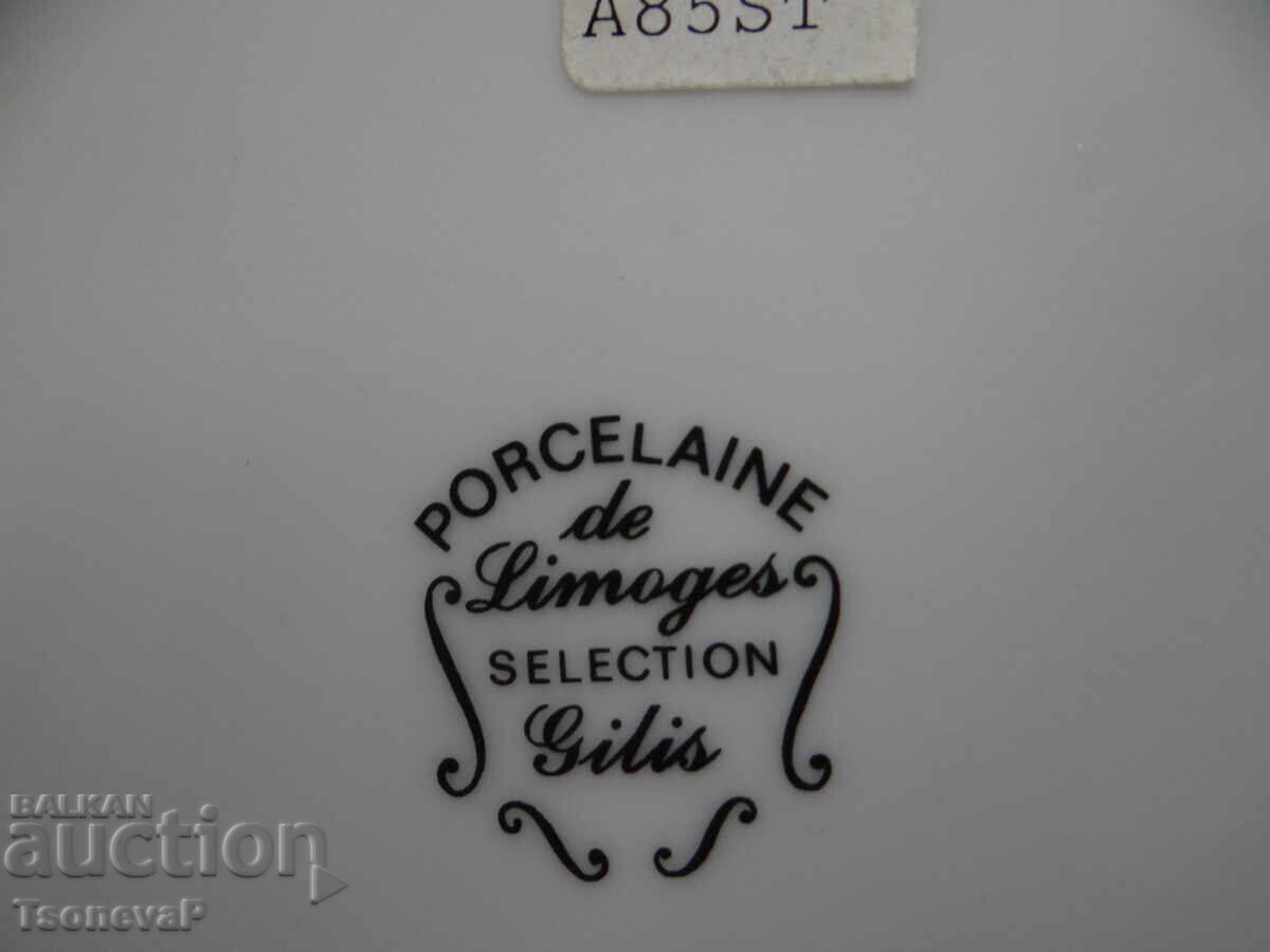 Porcelain French Plate Platter - 6 Porcelain French Plate Platter - 6