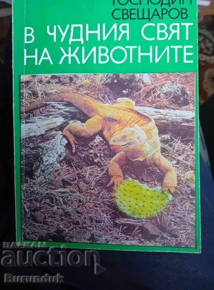 În lumea minunată a animalelor