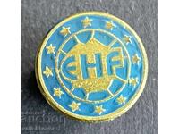 41279 Знак Европа на нациите и свободите група Европарламент