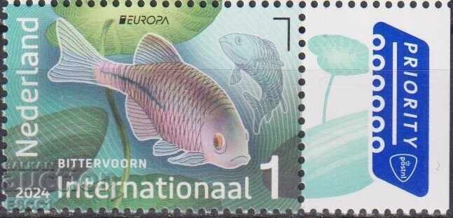 Чистa маркa  Европа СЕПТ  Риба 2024  от Нидерландия