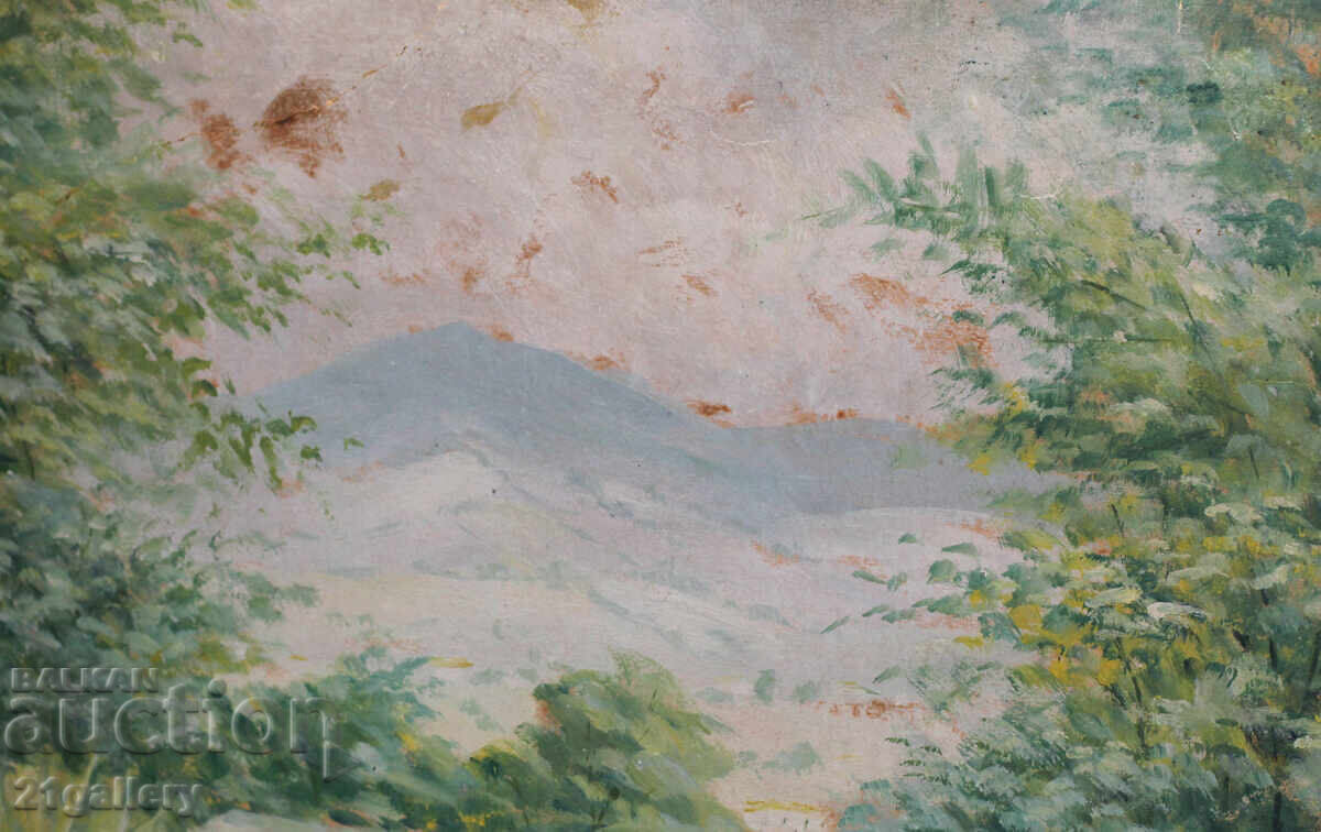 Nikola Tuzsuzov (1900-1977), landscape, oil painting - 6
