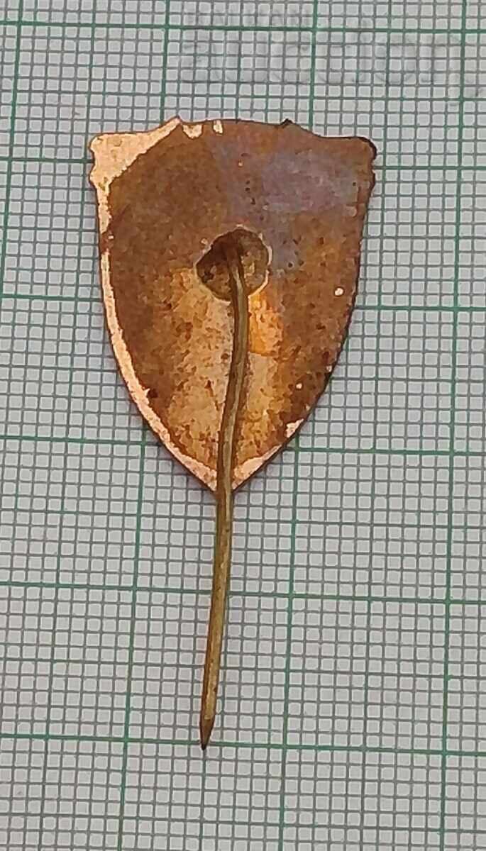 RUSSE, EMBLEMĂ SIMBOL, INSIGNĂ EMAIL cu preț 4.00 BGN | € 2.05