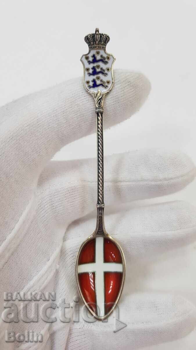 Rare collectible silver gilt spoon with enamel Europe