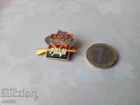 Insigna C.S.T. FSLN Frontul Sandinist de Eliberare