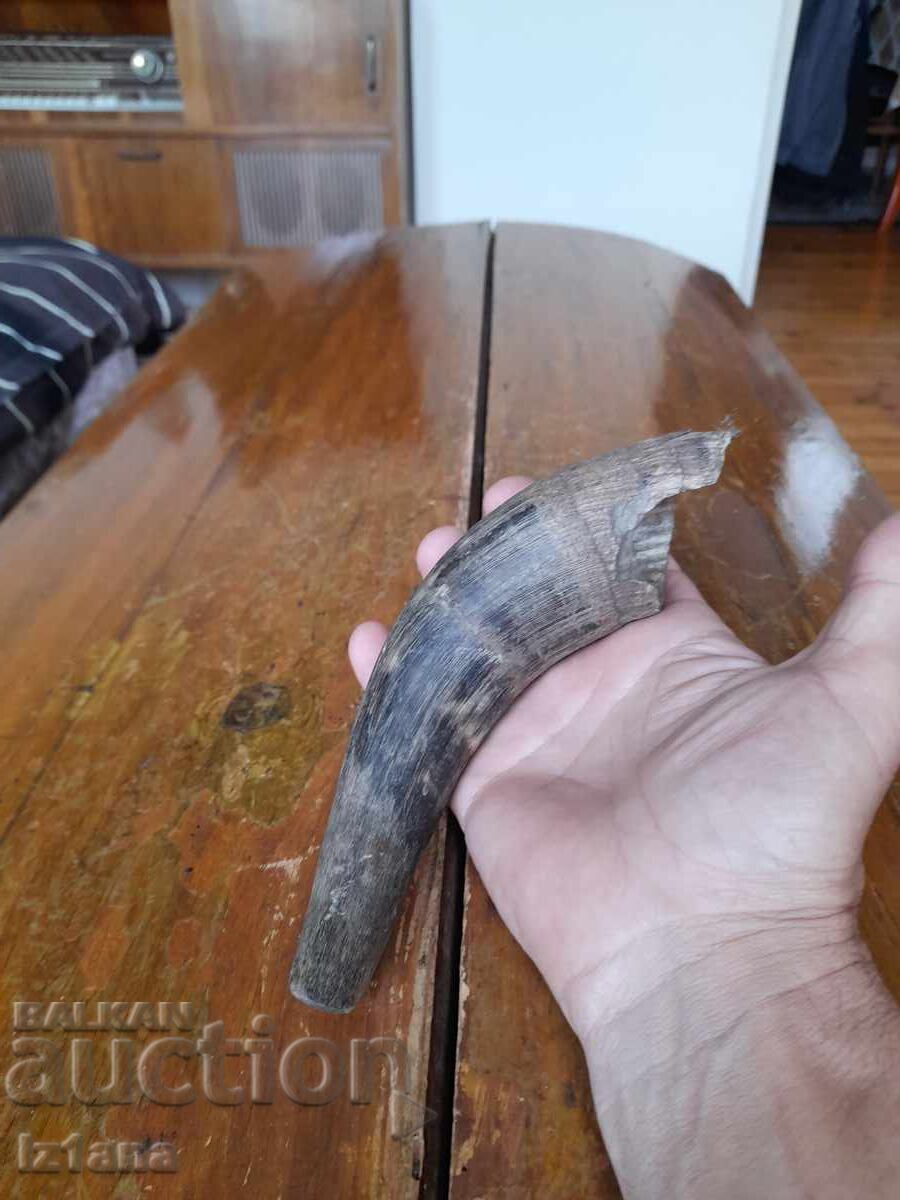 Delivery of Old horn