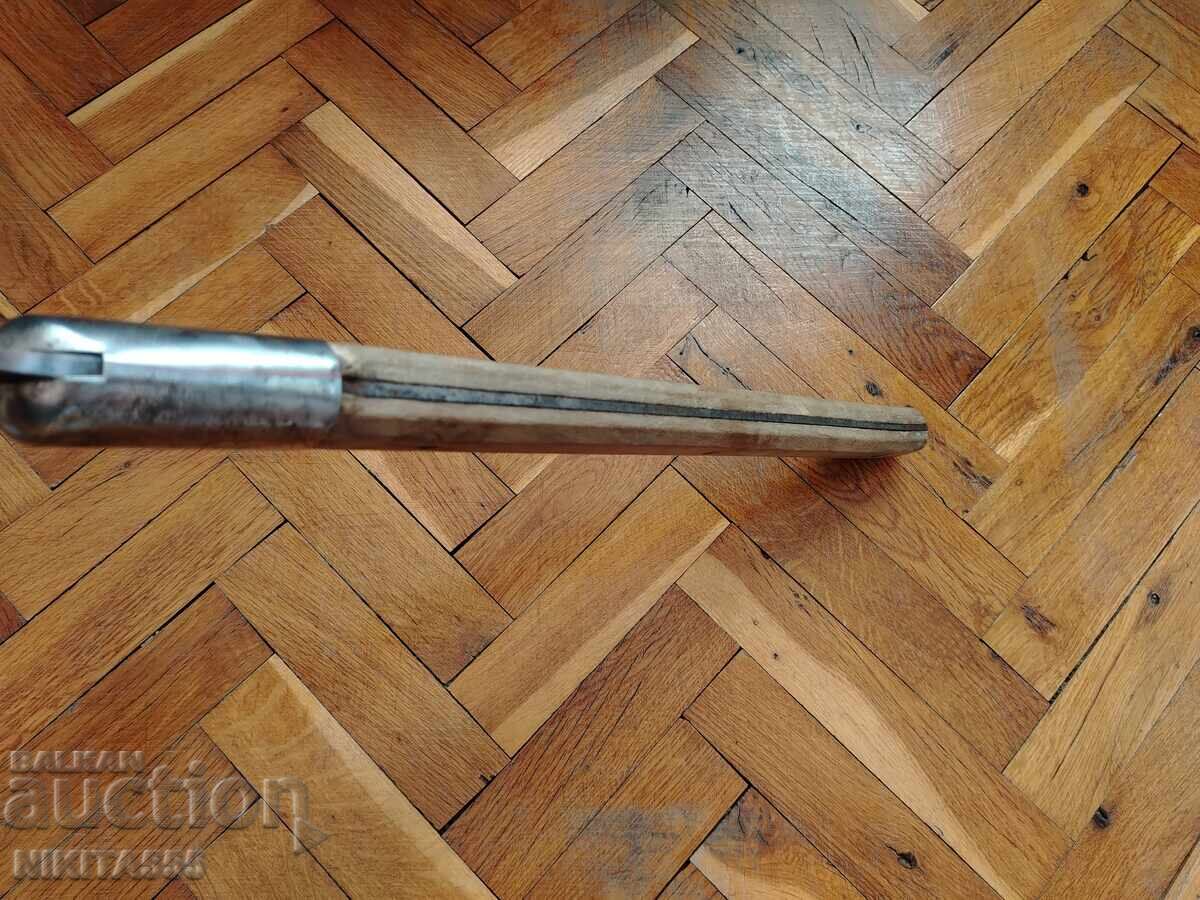 Μεγάλος Γερμανός Σάτυρος - 7