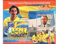 2012 Mali. Campionatul European de Fotbal - Ibrahimovic. ILEGAL!