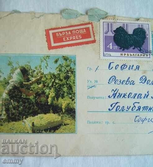 Postcard envelope IPTZ 2 st., 1967 - grape harvester, Used with price 1.00 BGN | € 0.51