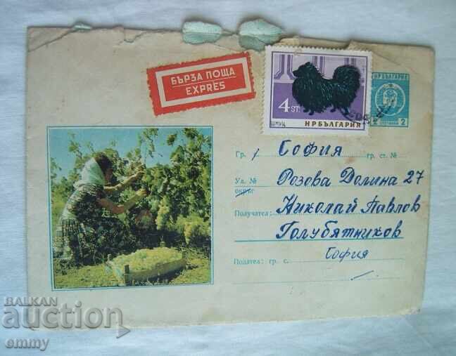 Postcard envelope IPTZ 2 st., 1967 - grape harvester, Used