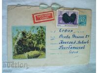 Plic poștal IPTZ 2 st., 1967 - culegătoare de struguri, Circulat