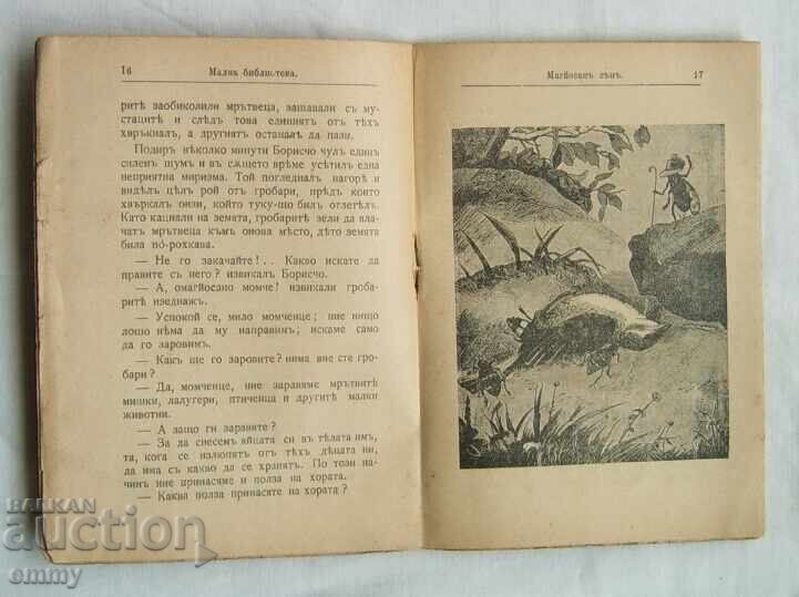 Доставка на Книжка 1904 г. - разказ "Магйосан сън", сп."Звездица"